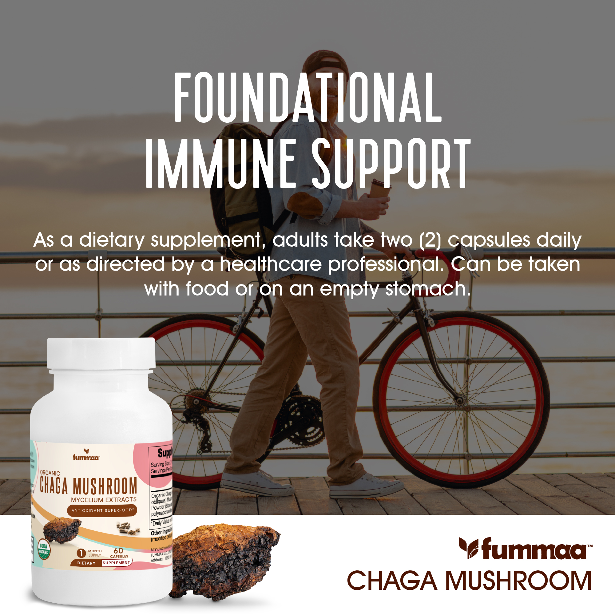 Chaga Mushroom - Image 4