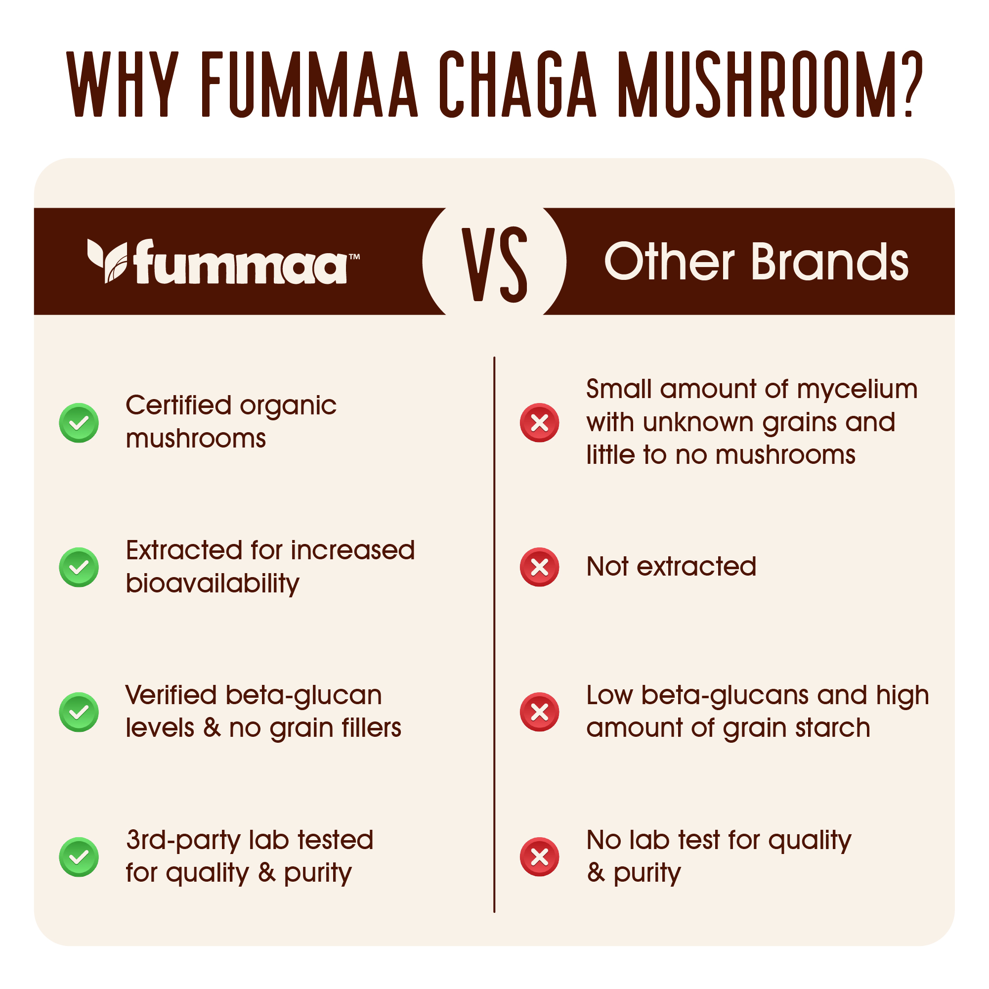 Chaga Mushroom - Image 3