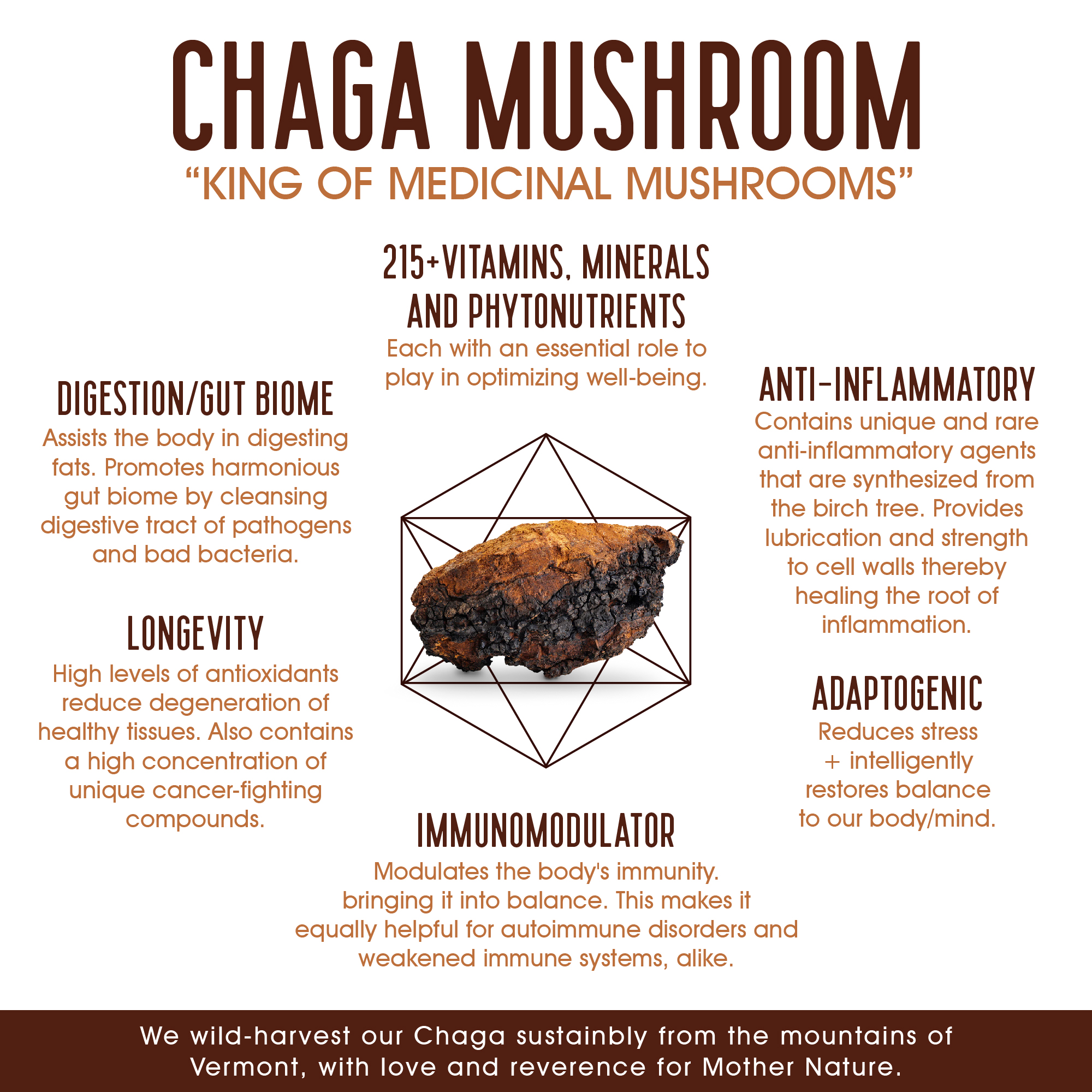 Chaga Mushroom - Image 2